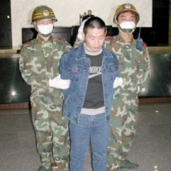 董文语杀人案